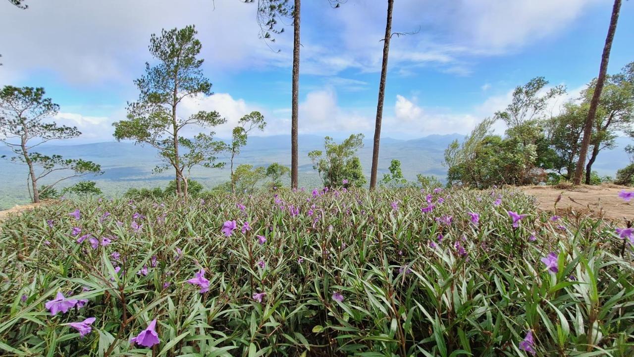 Romdoul Kirirom Resort By Ehm Kampong Speu Eksteriør billede